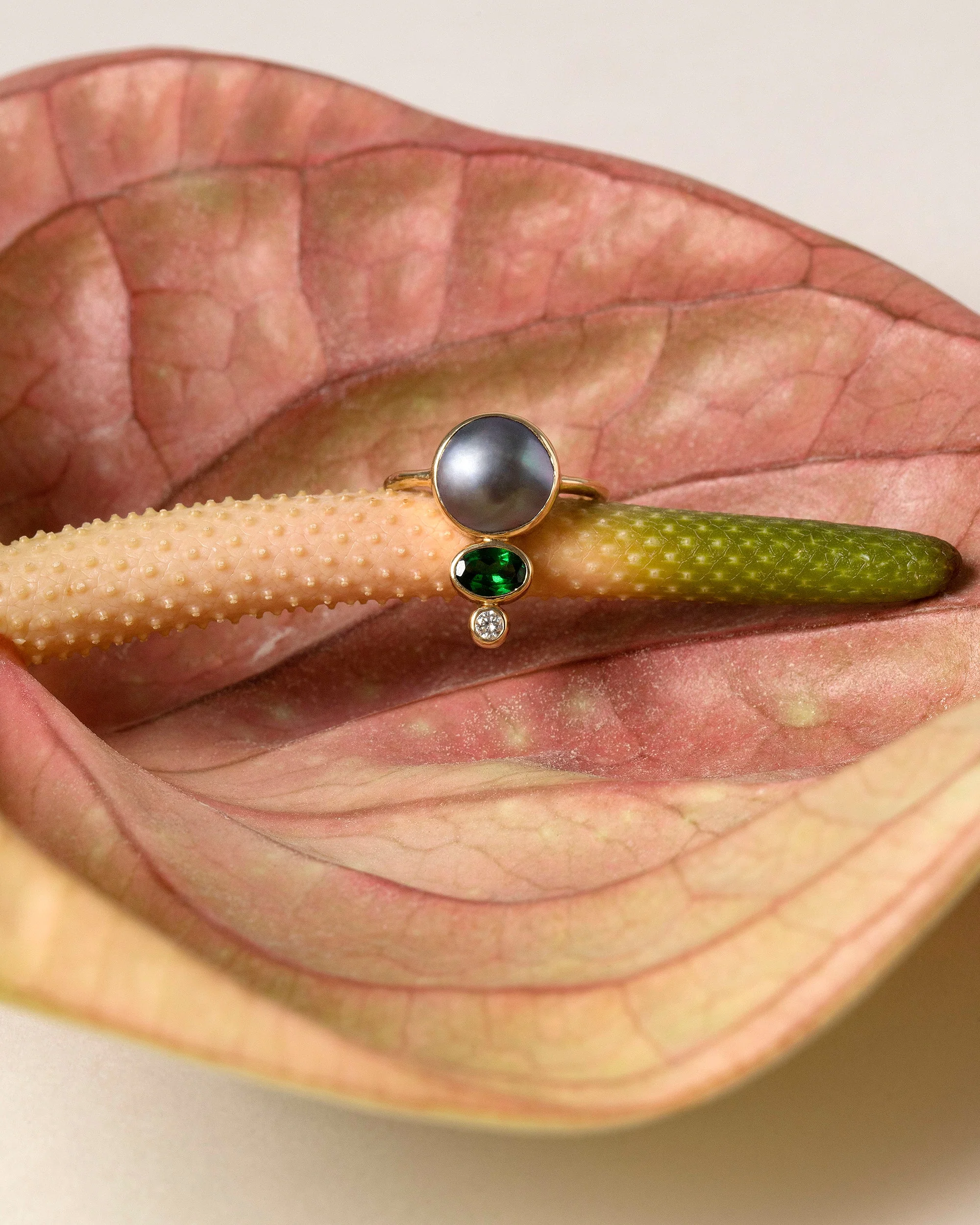 Oskar Ring - Image 4